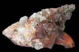 Natural, Red Quartz Crystal Cluster - Morocco #153775-1